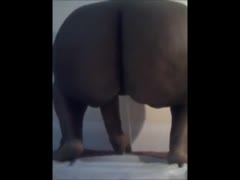 Fat slut squats and poops on the living room's floor